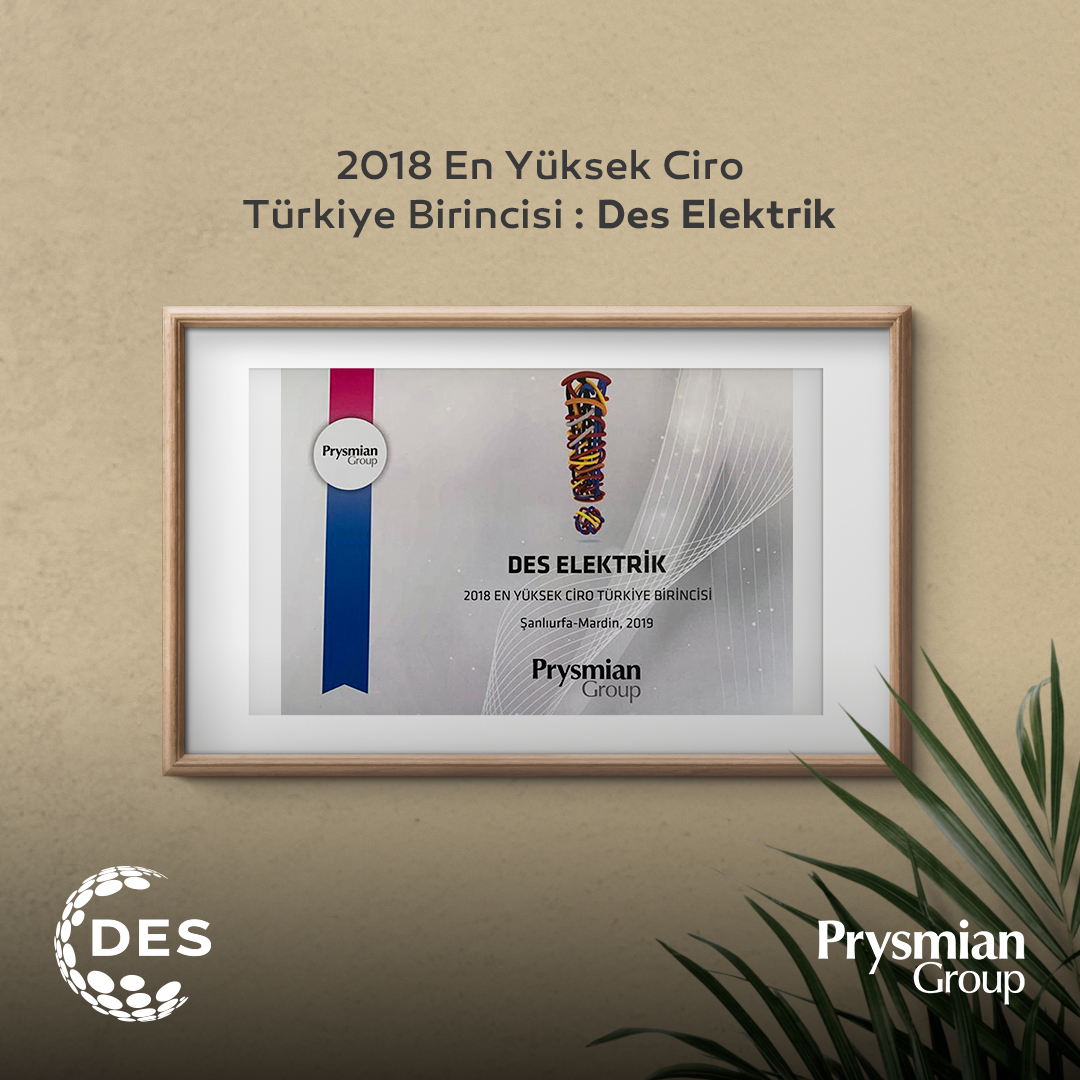 2018 Yılı En Yüksek Ciro Birincisi DES Elektrik