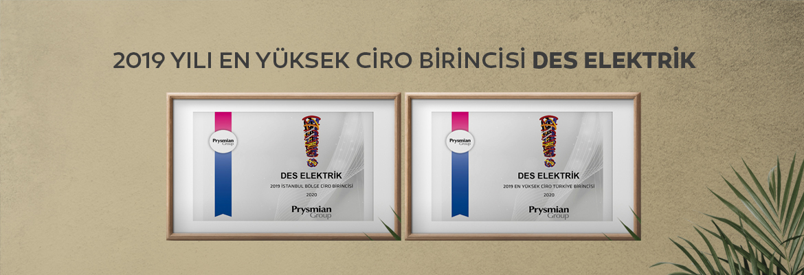 2019 YILI EN YÜKSEK CİRO BİRİNCİSİ DES ELEKTRİK